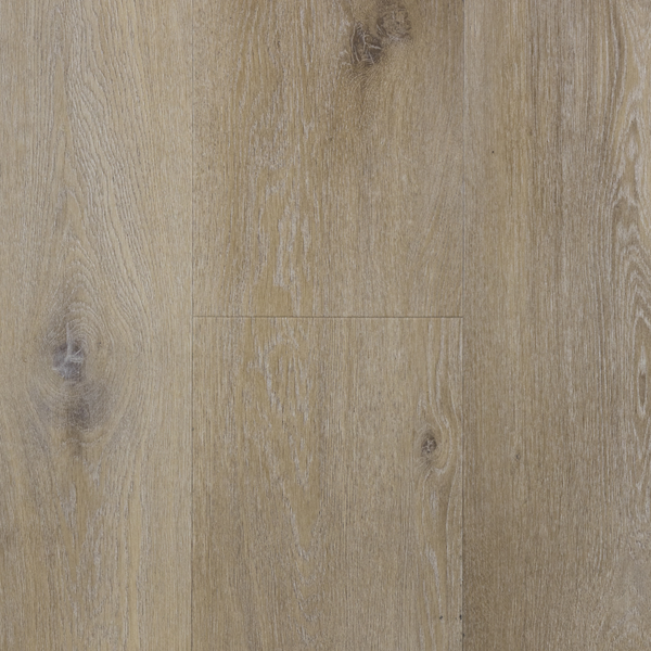 Douwes Dekker PVC Ambitieus riante plank honing