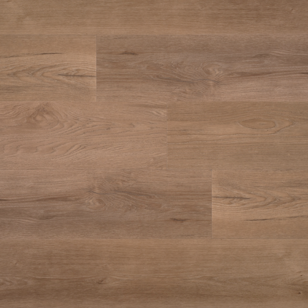 Douwes Dekker PVC Ambitieus riante plank spekkoek