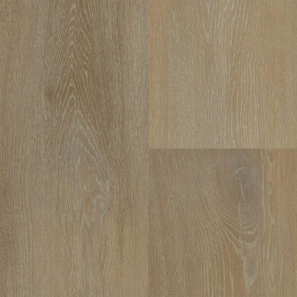 Aspecta Bolsena -Plank click