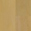 Aspecta Onega -Plank click