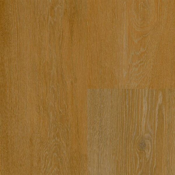 Aspecta Lugano -Plank click