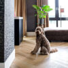 Belakos PVC RUSTICO VISGRAAT 20 - Afbeelding 2