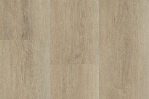 MONTINIQUE CHARENTE XL PLANK  5447 dryback