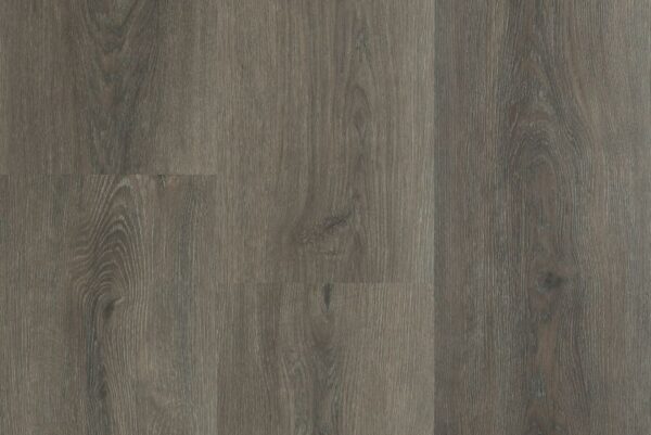 MONTINIQUE CHARENTE XL  5462 dryback