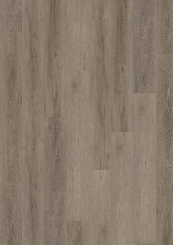LVLNINE Cerused Oak Light Natural – Wood
