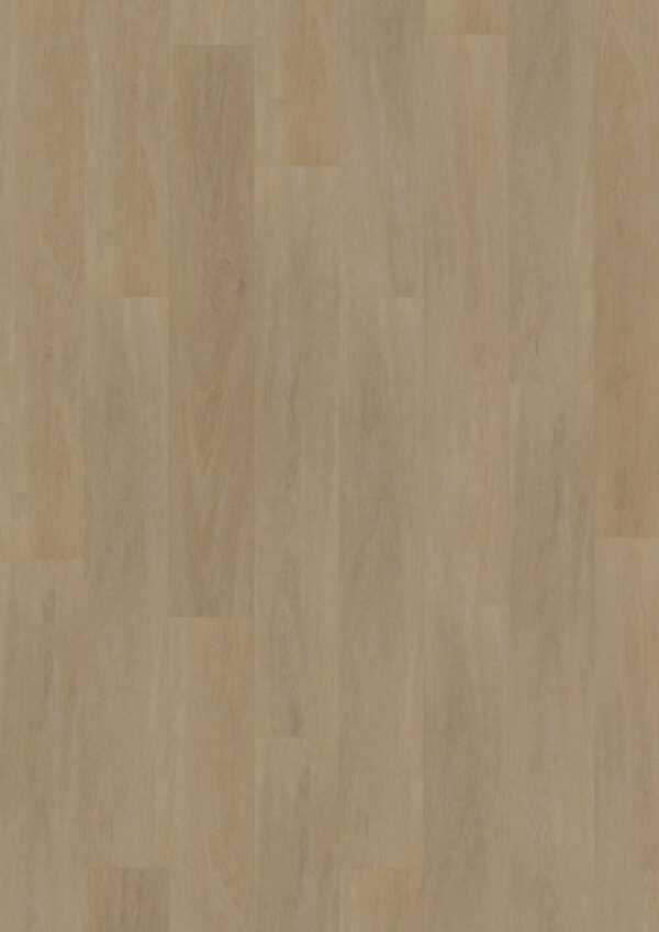 LVLNINE English Oak Natural – Wood