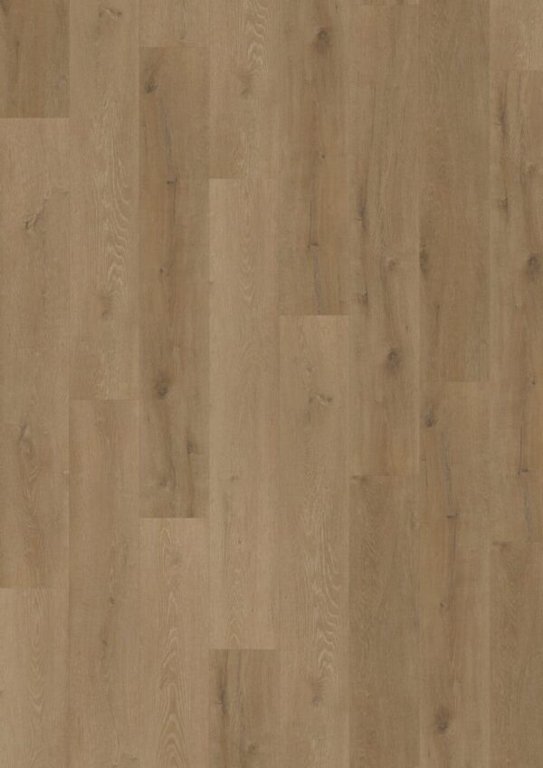 LVLNINE Prestige Oak Light Amber – Wood