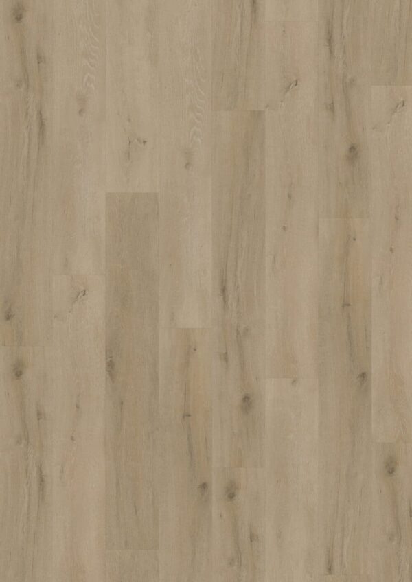 LVLNINE Prestige Oak Light Natural – Wood