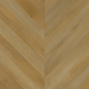 Aspecta  Albano -Chevron