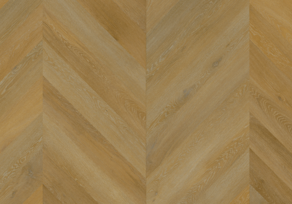 Aspecta  Albano -Chevron