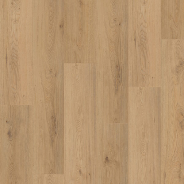 HUISCOLLECTIE Laminaat SURPRISE MILL OAK SP805