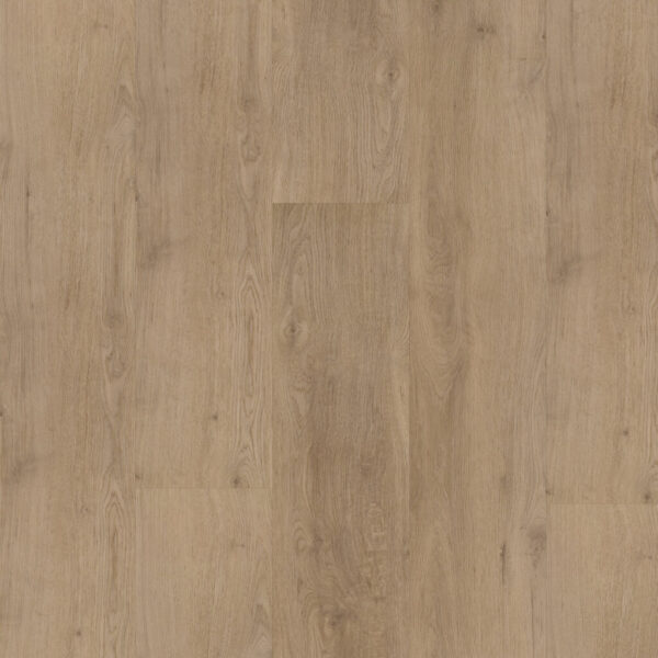 BODIAX Kleur Naturel eiken