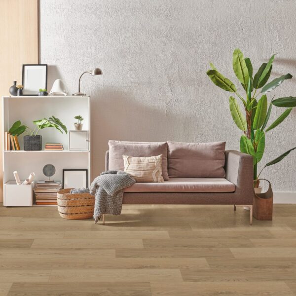 BODIAX Estrela 120 Ibiza Salt - Afbeelding 2