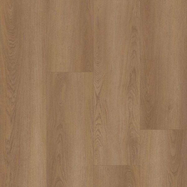 BODIAX Estrela 122 Shade