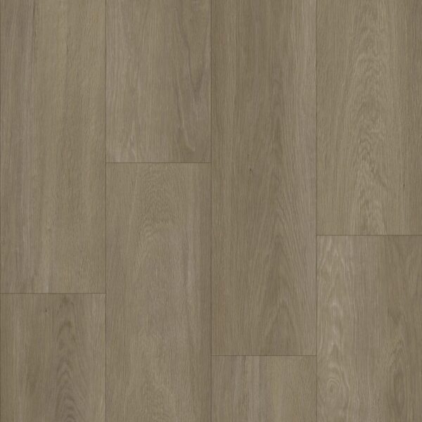 BODIAX Estrela 123 Ash