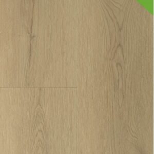 GELASTA  Sierra Natural 3003 (rigid click) en 2003 (dryback)