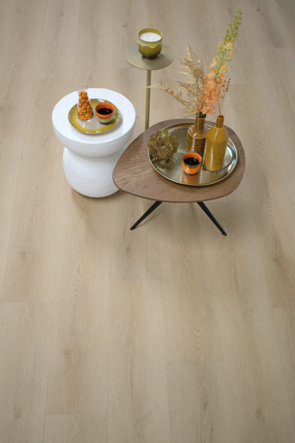 GELASTA  Sierra Natural 3003 (rigid click) en 2003 (dryback) - Afbeelding 2