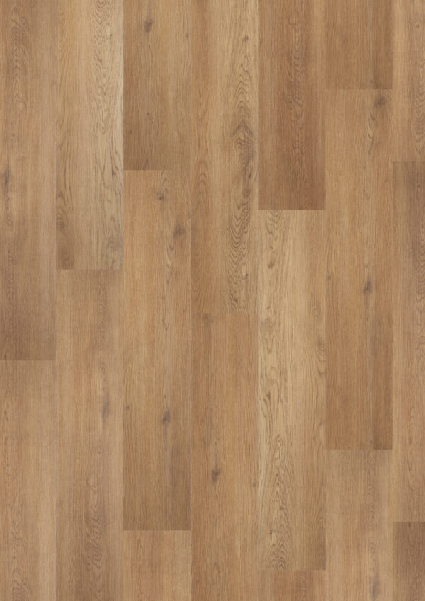 Floorex Bergamo Oak click - Afbeelding 2