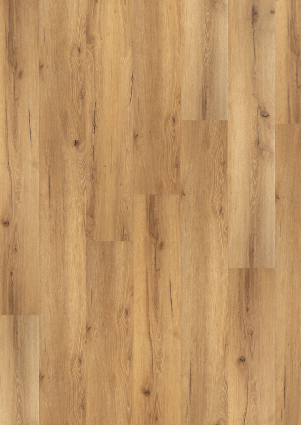 Floorex PVC Siena Oak click en dryback - Afbeelding 2