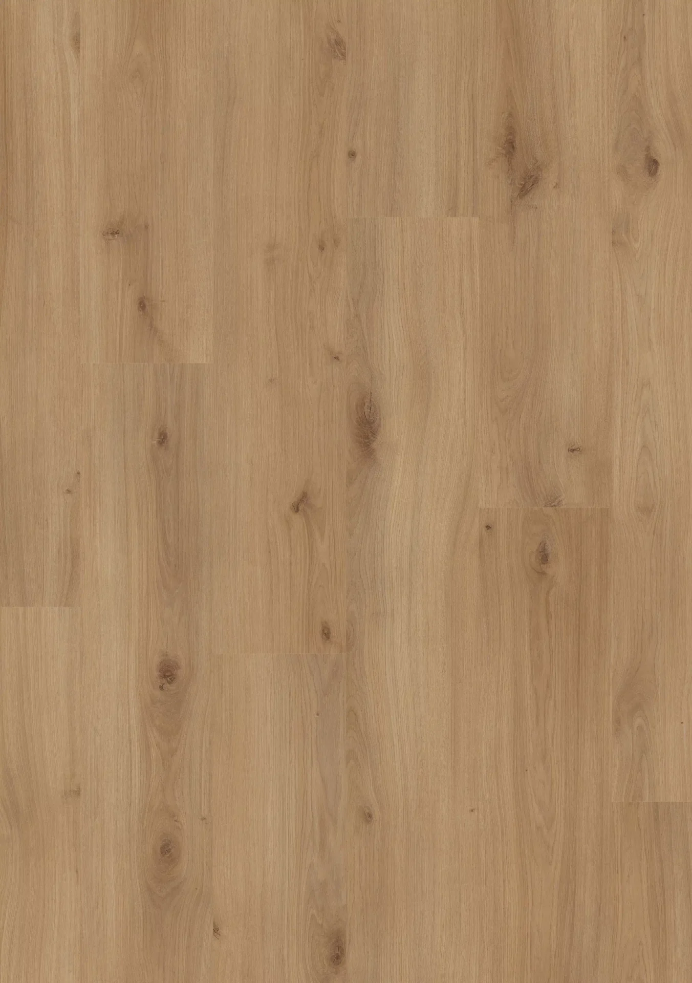 Beautifloor Laminaat West-Vlaanderen Krombeke