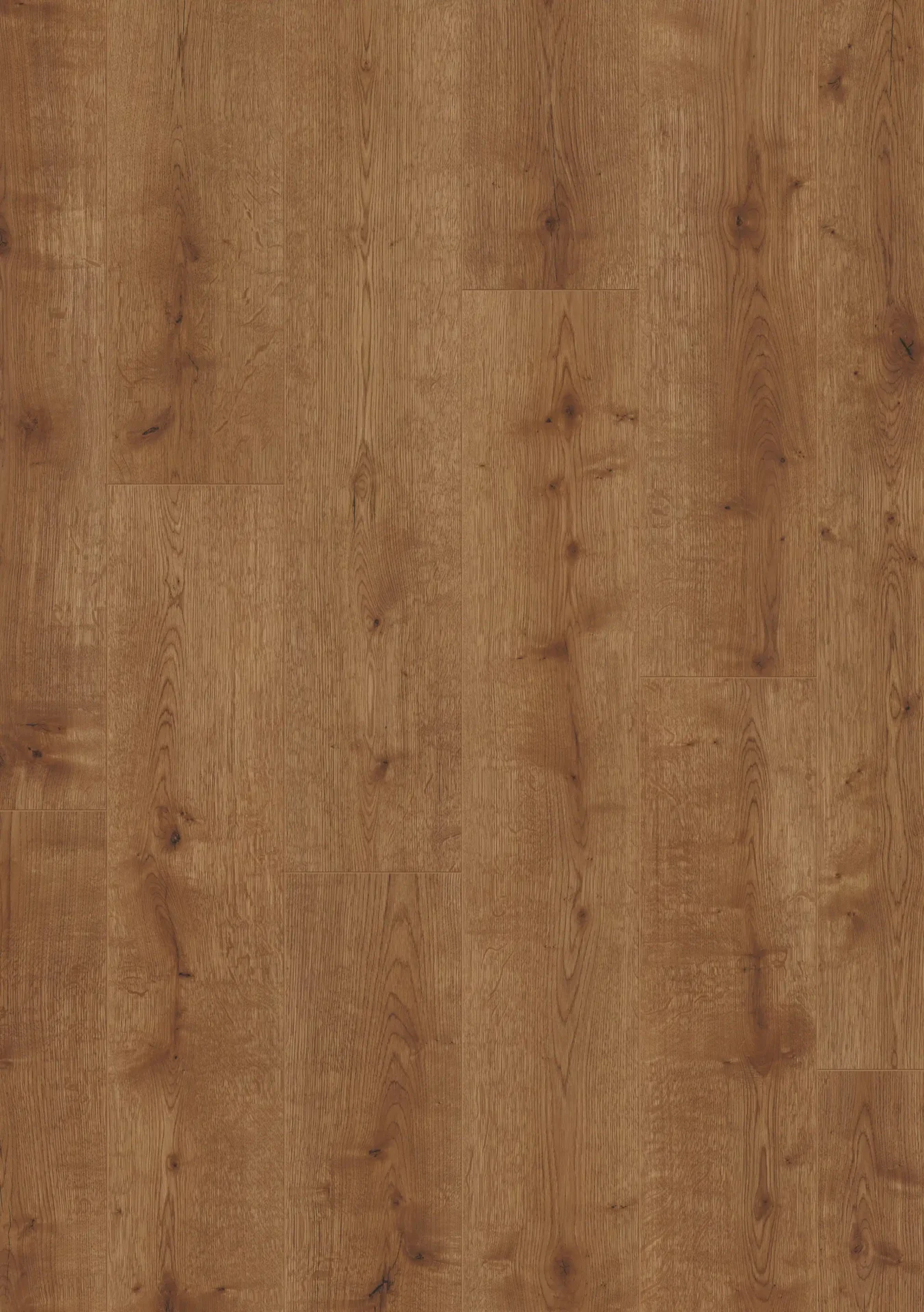 Beautifloor Laminaat West-Vlaanderen Loker - Afbeelding 2