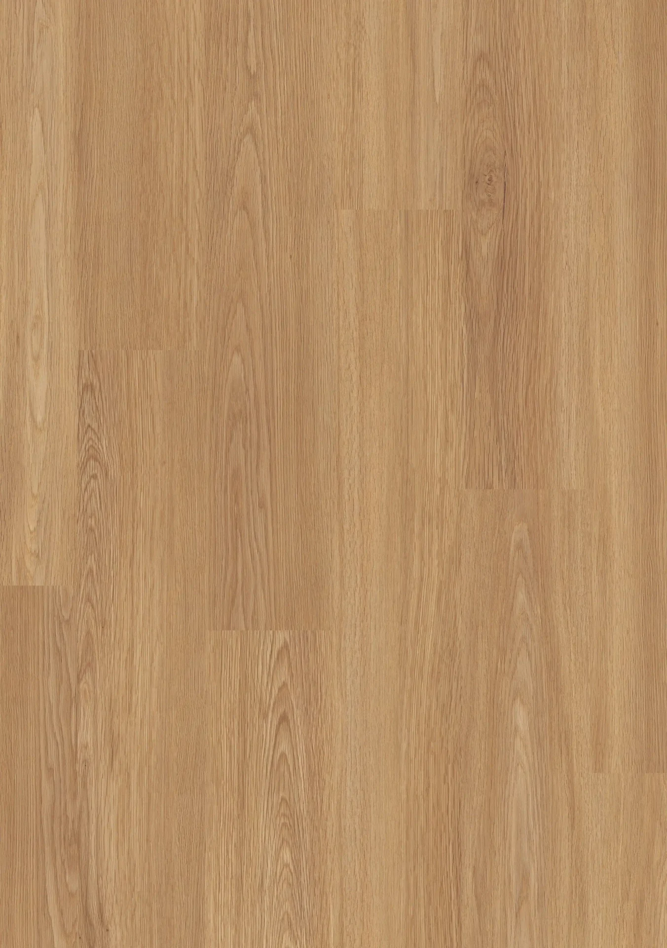 Beautifloor Laminaat Ardennen | Ciney