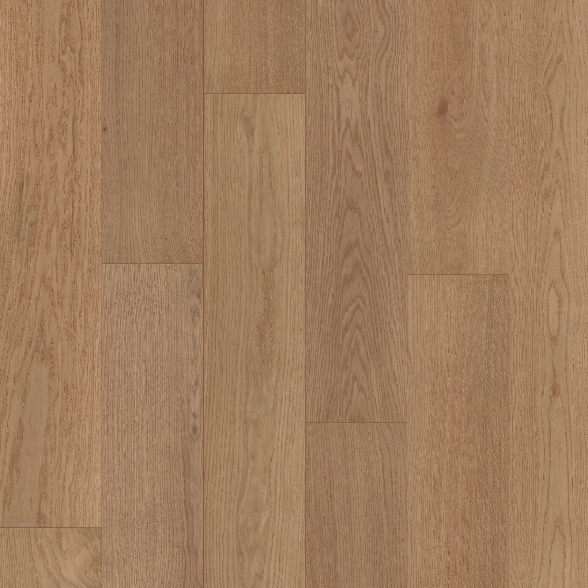 MEISTER Lindura houten vloer HD 400 Eik levendig pure 8936 - Afbeelding 2